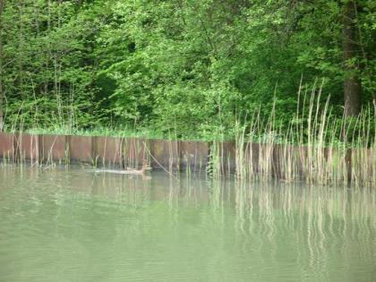 Afbeelding met buitenshuis, boom, meer, water Door AI gegenereerde inhoud is mogelijk onjuist.