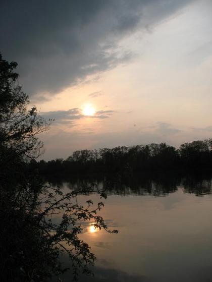 Afbeelding met buitenshuis, boom, wolk, natuur Door AI gegenereerde inhoud is mogelijk onjuist.