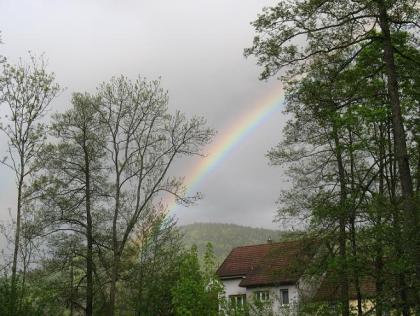 Afbeelding met buitenshuis, natuur, boom, regenboog Door AI gegenereerde inhoud is mogelijk onjuist.