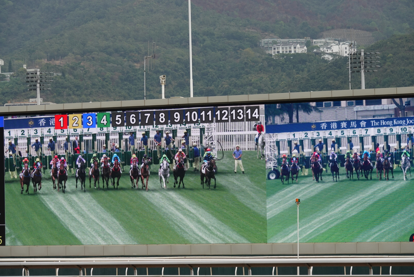 DSC01459