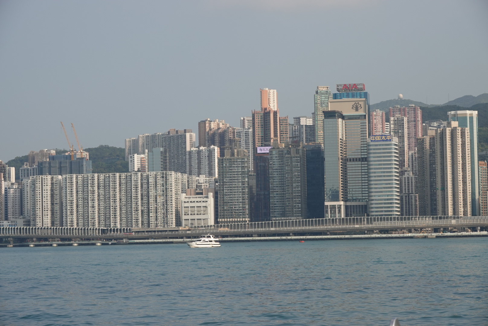 DSC01513